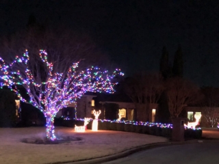 Christmas 2020 – 2 of 4